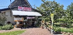 道の駅 みなまた たけんこ