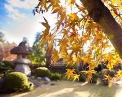 亥庵