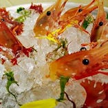 噴火湾産の活牡丹海老を1尾からお選び下さい。
ぷりっぷりっな食感がたまらない鮮魚！！
