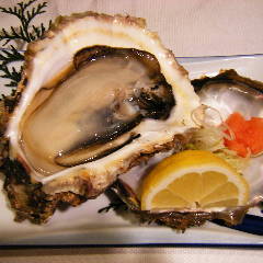 深川 門前仲町 はしもと 自慢の食材 天然 大岩牡蠣 ぐるなび 深川 門前仲町 はしもと 自慢の食材 天然 大岩牡蠣 ぐるなび