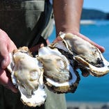 石巻市の契約漁場より大切に育てられ栄養分をたっぷり含んだ『夢牡蠣』を是非ご賞味ください！