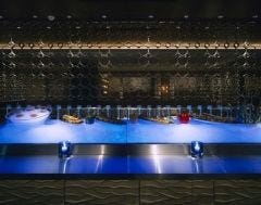 MAIMON GINZA MAIMON GINZA