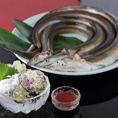 祇園四条で日本酒 地酒がおすすめな居酒屋特集