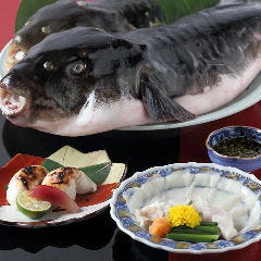 天然ふぐ使用！てっちりフルコース