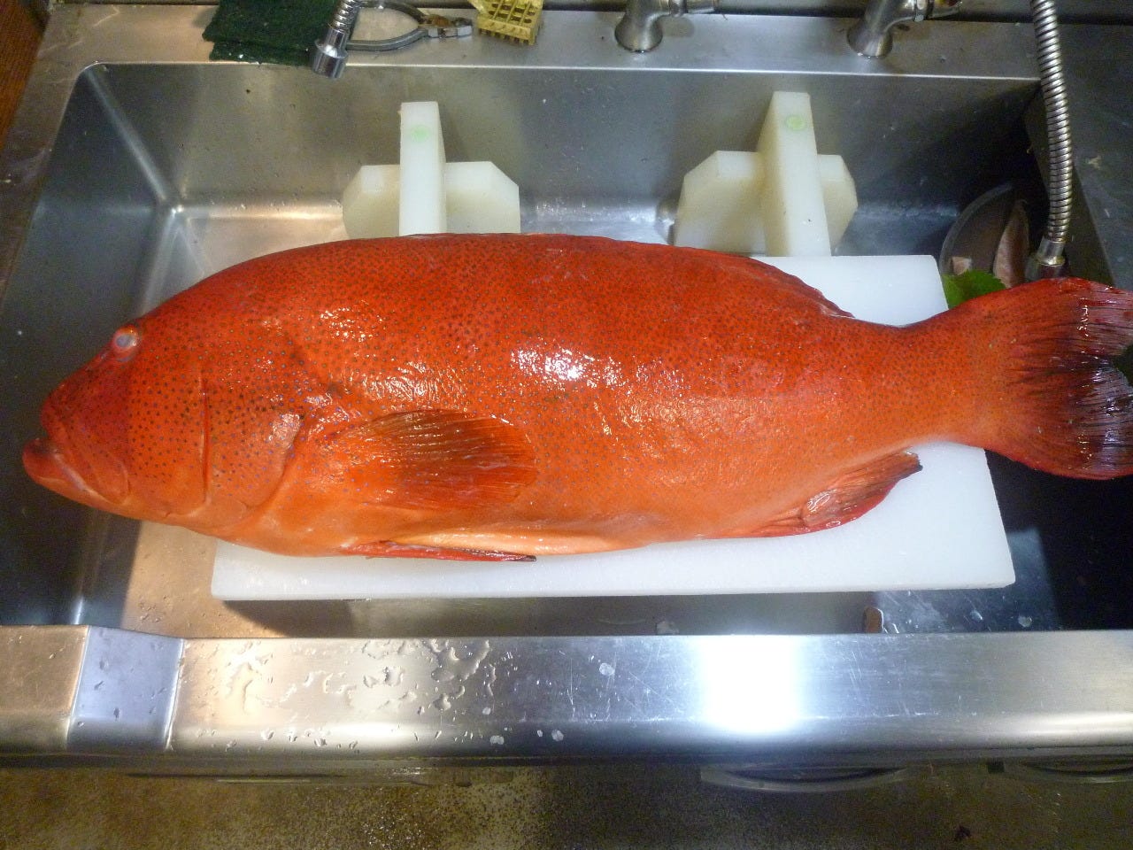 旬彩遊膳 ながなわ 自慢の食材 アカジンミーバイ ぐるなび