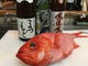 レアな日本酒とその時の旬魚