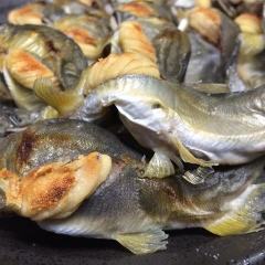 四季旬菜 いおり_焼魚は当店の名物です