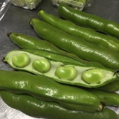 四季旬菜 いおり_季節の食材「空豆」