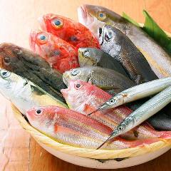 新鮮なお魚料理も大好評です。ぜひご賞味くださいめせ。
