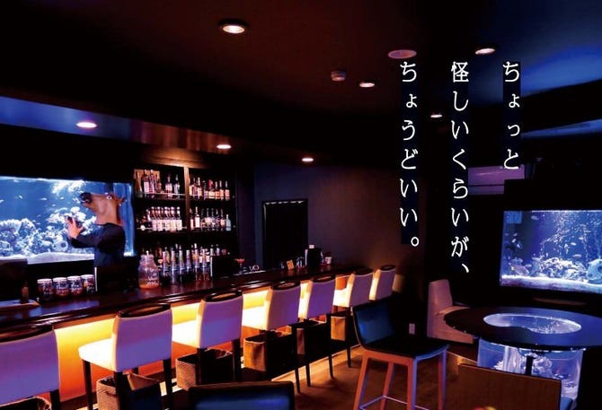 Bar Sea Drop バーシードロップ 山形市 居酒屋 ぐるなび