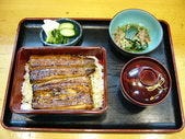 うな徳 うなぎ料理