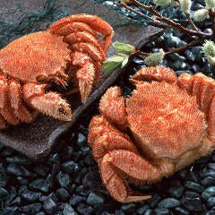 香港料理 楽天王府 笹塚店 