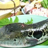 活きのよい天然ブランド物の鮮魚を仕入れております！