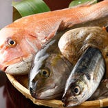 瀬戸内海・玄海灘の漁師より直送される鮮魚をシンプルな調理法でご提供致します。
