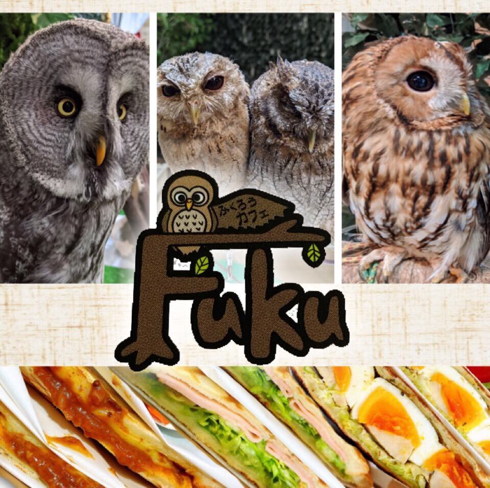 ふくろうカフェ fukuのURL1