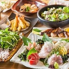 旨い魚とレモンサワー 個室居酒屋  亀喜 田町店_『亀喜コース』季節野菜の天ぷらや鮮魚の西京焼きなど【全8品/2時間[生ビール付き]飲み放題付き/4000円】