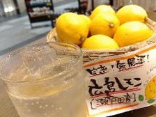 広島レモン