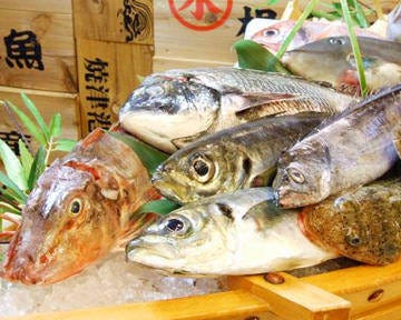 まぐろ居酒屋 さかなや道場 長岡東口店 長岡 居酒屋 ぐるなび