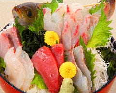 まぐろ居酒屋 さかなや道場 長岡東口店