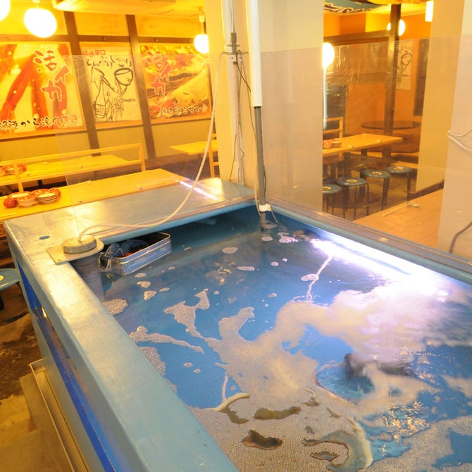 横浜イカセンター 横浜駅 海鮮 海鮮料理 ぐるなび