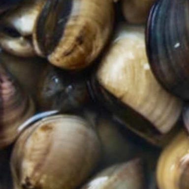 SOBAHOUSE 金色不如帰_《金色不如帰》こだわり味わい