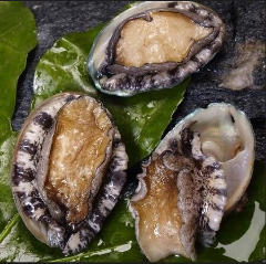 旬魚鮮肉 産地直営 北海道幾蔵 上野本店 自慢の食材 北海道産 蝦夷アワビ ぐるなび 旬魚鮮肉 産地直営 北海道幾蔵 上野本店 自慢の食材 北海道産 蝦夷アワビ ぐるなび