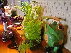 アジア料理 レモングラス