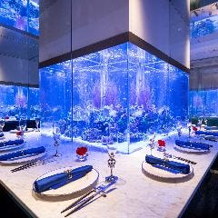 上野 アクアリウムレストラン Nautilus‐ノーチラス‐