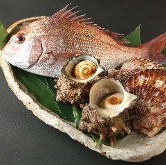 銀座 独楽_お頭造りには、欠かせない真鯛、サザエ、帆立(^^♪
