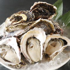 銀座 独楽_ブランドの岩ガキは、オイスターバーには、負けません♪