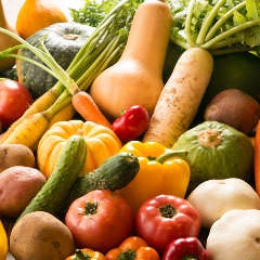 銀座 独楽_朝一で届く契約農家の露地野菜