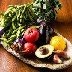 銀座 独楽_＜作り手の顔が見える安心安全の食材＞
同じ志を持った農園の皆さまから仕入れる生き生きとした食材の数々