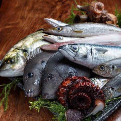 銀座 独楽_毎朝豊洲で仕入れる朝獲れ魚介！
板前が直接見て選んでいるため質に自身アリ◎