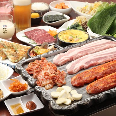 生サムギョプサル食べ放題×焼肉 チョデ 新宿南口店 コースの画像