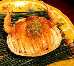 荒木町 光樹