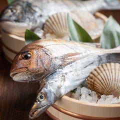 おかとはま