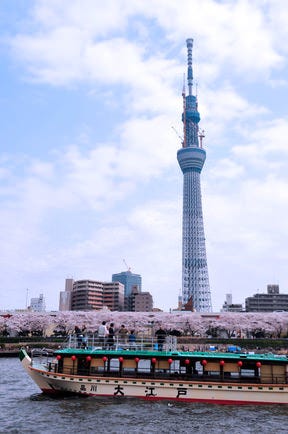 屋形船 大江戸