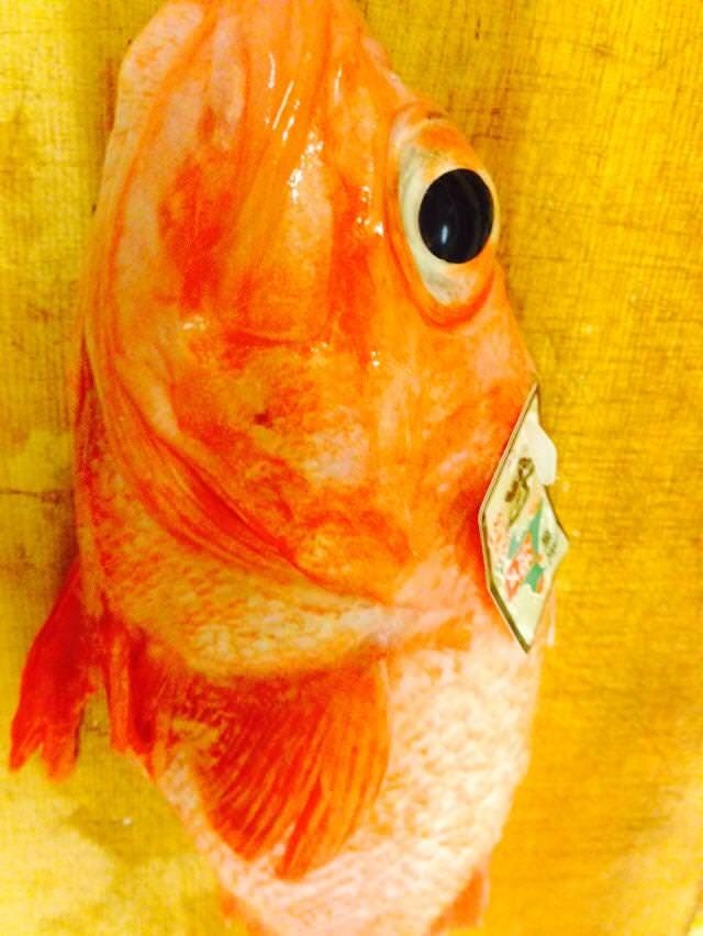 21年 最新グルメ 西天満 岩さき 西天満 レストラン カフェ 居酒屋のネット予約 大阪版