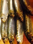 泉佐野　鰯