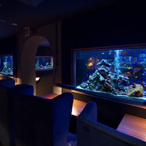 アクアリウムイタリアン 心斎橋ライム なんば 難波 イタリアン イタリア料理 ぐるなび アクアリウムイタリアン 心斎橋ライム なんば 難波 イタリアン イタリア料理 ぐるなび