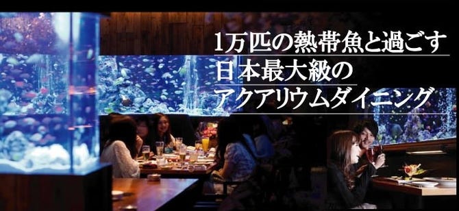 アクアリウムイタリアン 心斎橋ライム なんば 難波 イタリアン イタリア料理 ぐるなび