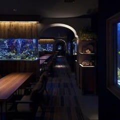 アクアリウムイタリアン 心斎橋ライム アクアリウムイタリアン 心斎橋ライム