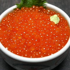いか太郎 朝市プレジデント店 メニュー 丼物 定食 ぐるなび いか太郎 朝市プレジデント店 メニュー 丼物 定食 ぐるなび