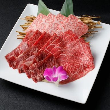 国産黒毛和牛 焼肉 彩伽亭_"彩盛り"