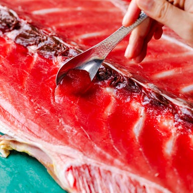 本鮪と焼きとん焼き鳥 個室居酒屋 達磨酒場 新橋総本店_達磨酒場特選まぐろ希少部位をお得に