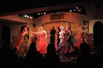 ［スペイン料理］Mi Vidaの画像