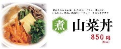 【煮】山菜丼