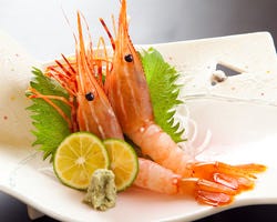 21年 最新グルメ すし 魚游 うおゆう 関内駅前店 関内 馬車道 レストラン カフェ 居酒屋のネット予約 神奈川版 21年 最新グルメ すし 魚游 うおゆう 関内駅前店 関内 馬車道 レストラン カフェ 居酒屋のネット予約 神奈川版