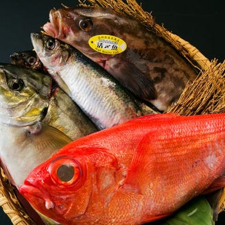 大宮で産地直送鮮魚 活牡蠣など新鮮で美味しい刺身が味わえるお店15選 大宮で産地直送鮮魚 活牡蠣など新鮮で美味しい刺身が味わえるお店15選