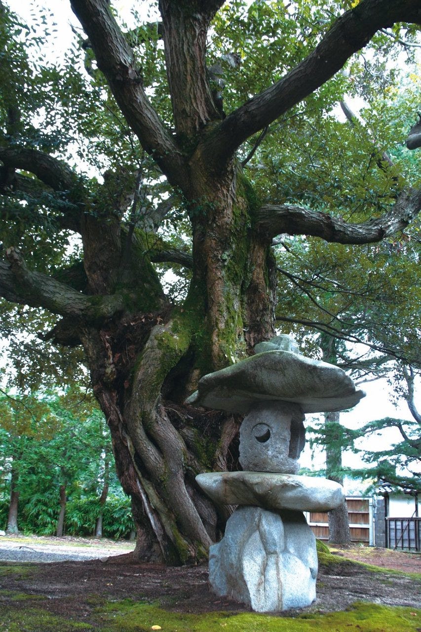 鳥取いなば 有隣荘